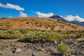 Wall Mural - Landscape of El Teide