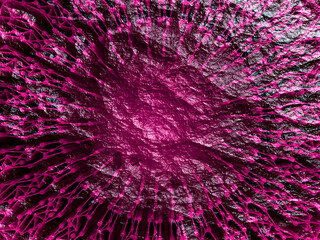Wall Mural - radial connected dots in circle form. fireworks explosion background. circular design element. abstr