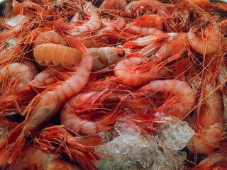 Sticker - Closeup shot of a lot of frozen shrimps in a fish market