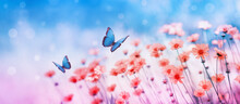 Beautiful Flower Field And Flying Butterflies On Blue Sky Background. Colorful Toning Of Amazing Nature Landscape With Wild Plants And Insects.