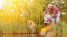 Child Fishing With Grandpa And Dog By The Lake In Summer