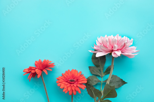Fotografía Flower on blue background with copy space