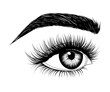 Hand-drawn woman's eye with eyebrow and long eyelashes. Side look. Fashion illustration. Vector EPS 10.