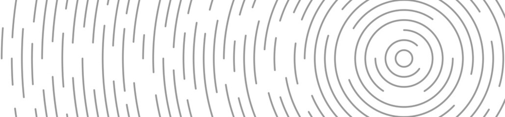 Poster - lines. lines abstract background. circles line pattern background. vector illustration