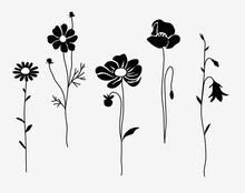 Set Of Decorative Flowers Silhouette Isolated On Grey. Vector Illustration. Poppy, Dahlia, Daisy, Sosmos And Bell Set