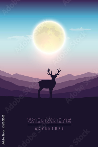 wildlife adventure elk in t...