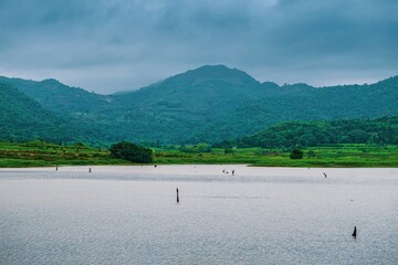 Poster - Water in front of the mountains covered in forests