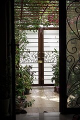 Vertical shot of a two door entrance to a building with plants and pots all around the place