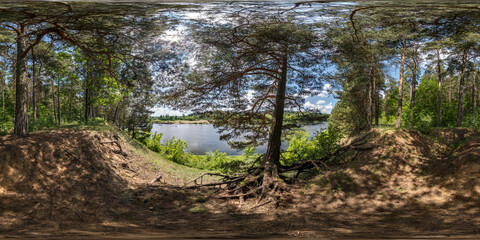 Wall Mural - full seamless spherical hdri panorama 360 degrees angle view in pinery forest with clumsy tree roots near river in equirectangular projection, ready VR AR virtual reality content