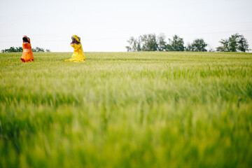 Two yellow and orange dinosaur dino tyrannosaurus running biting each other and having fun in green field. Shot from air. aerial shot. Dinosaur playing small guitar