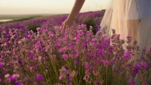 Lavender Girl Windmill Free Stock Photo - Public Domain Pictures
