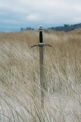 Poster - Vertical shot of a sword in the sandy beach