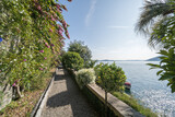 Fototapeta Tulipany - Isola Madre, Lago Maggiore, Italy