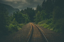 Train Tracks Railroad Through Pacific Northwest Forest