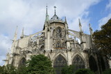 Fototapeta Paryż - Paris, cathedral of Notre Dame: a view of the back side of the church