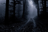 Fototapeta Las - dark road in forest fantasy landscape