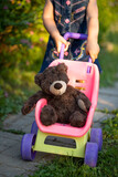 Fototapeta  - Toy Bear In Stroller With Baby Girl In Garden Close Up.