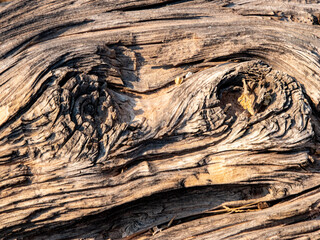 old wood texture