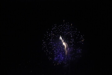 Fuegos artificiales / Fireworks