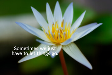Wall Mural - Life inspirational and motivation quotes - Sometimes we just have to let things go.