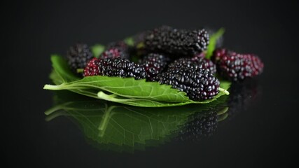 Canvas Print - Mulberry berry with leaf on black background