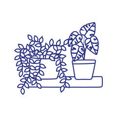 Sticker - potted plants decoration in shelf isolated icon white background