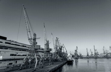 Harbor cranes, black and white poster