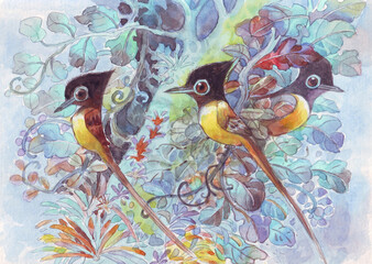 Three paradise flycatcher birds.Hand drawn watercolor illustration for greeting card,background,wallpaper,pattern,printing,advertising,nature poster,books illust,decoration,birds cartoon images.