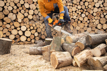 Wall Mural - Chainsaw in action cutting wood. Man cutting wood with saw, dust and movements. Chainsaw. Close-up of woodcutter sawing chain saw in motion, sawdust fly to sides.