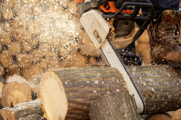 Chainsaw in action cutting wood. Man cutting wood with saw, dust and movements. Chainsaw. Close-up of woodcutter sawing chain saw in motion, sawdust fly to sides.