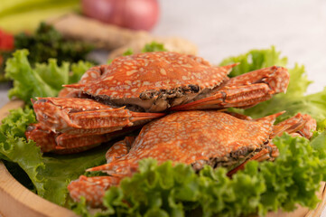 One crab is cooked on lettuce in a dish.