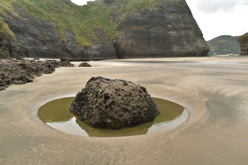 Wall Mural - Piha beach coastal rock formation