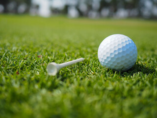 the golf ball on the green grass with a white tee beside it.