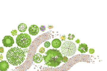 Wall Mural - Vector illustration. Landscape design. Top view. Path, trees and flowers. View from above.