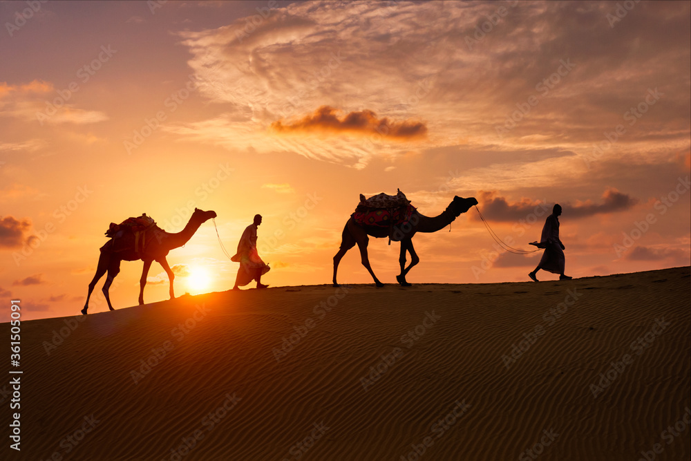 Indian cameleers (camel driver) bedouin with camel silhouettes in sand dunes of Thar desert on sunset. Caravan in Rajasthan travel tourism background safari adventure. Jaisalmer, Rajasthan, India - obrazy, fototapety, plakaty 