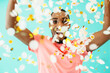 © Carlos David - Celebrating, young man with big smile throwing confetti.