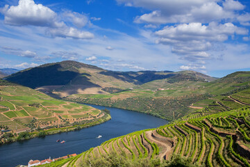 Wall Mural - Douro Valley landscape