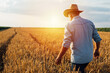 © cherryandbees - farmer walking on through wheat field