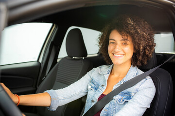 Wall Mural - woman in car