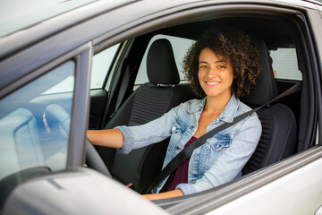 Wall Mural - woman in car