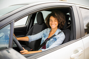 Wall Mural - woman in car