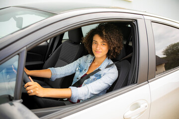 Wall Mural - woman in car