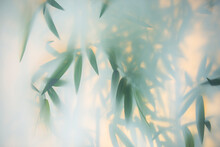 Green Bamboo In The Fog With Stems And Leaves Behind Frosted Glass