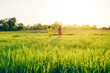 Two girls running and holding hands in the field . Summer evening in nature
