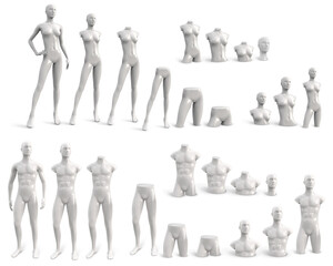 Wall Mural - Vector set of male and female mannequins in white color. Different parts of the body. Vector 3d realistic illustration isolated on white background.