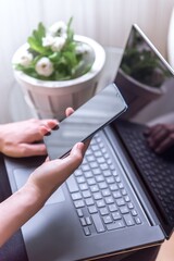 Poster - Vertical shot of a female hand holding a smartphone and laptop