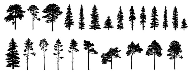 Set of tree silhouettes of different types and shapes isolated on white background. Vector illustration.