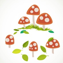 Amanita With Green Summer Leaves Vector Drawing Isolated On White Background