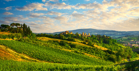 Wall Mural - Certaldo Alto town skyline and vineyards view. Florence, Tuscany, Italy