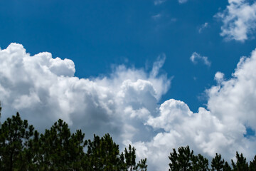 Wall Mural - Clouds in blue sky background with copy space
